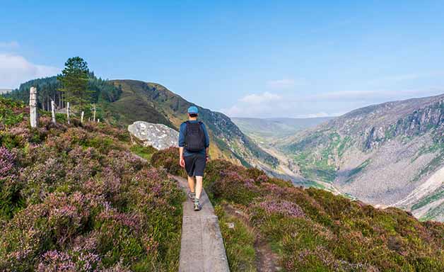 Glendalough Spinc Walk (Blue Route)